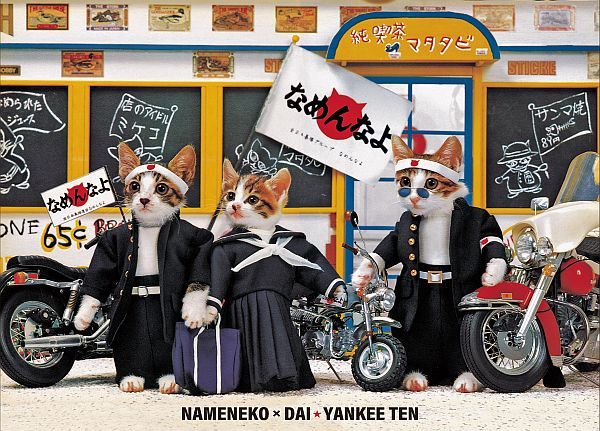 【埼玉県さいたま市】ヤンキーブーム再到来！体験イベント「大ヤンキー展」開催、ハイジ＆なめ猫コラボも