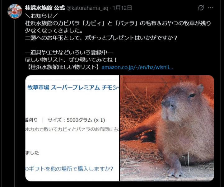 桂浜水族館公式Xより