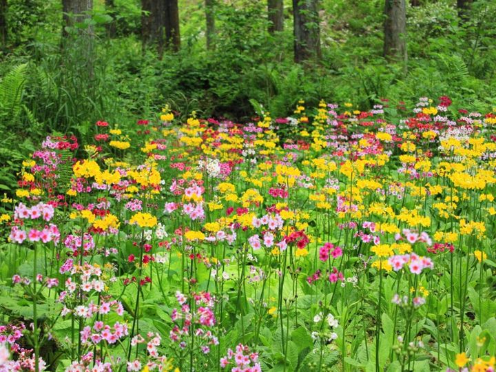 All About ニュース編集部が全国250人を対象に実施した「自治体に関するアンケート」の調査結果から、読むのが難しいと思う「長野県の自治体」ランキングを発表！ 2位「喬木村」を抑えた1位は？