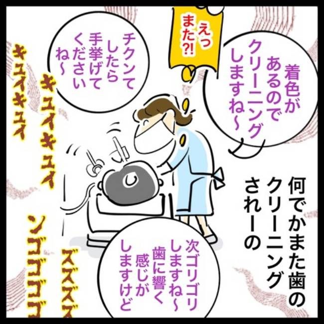 銀歯の下の悲劇／へそ