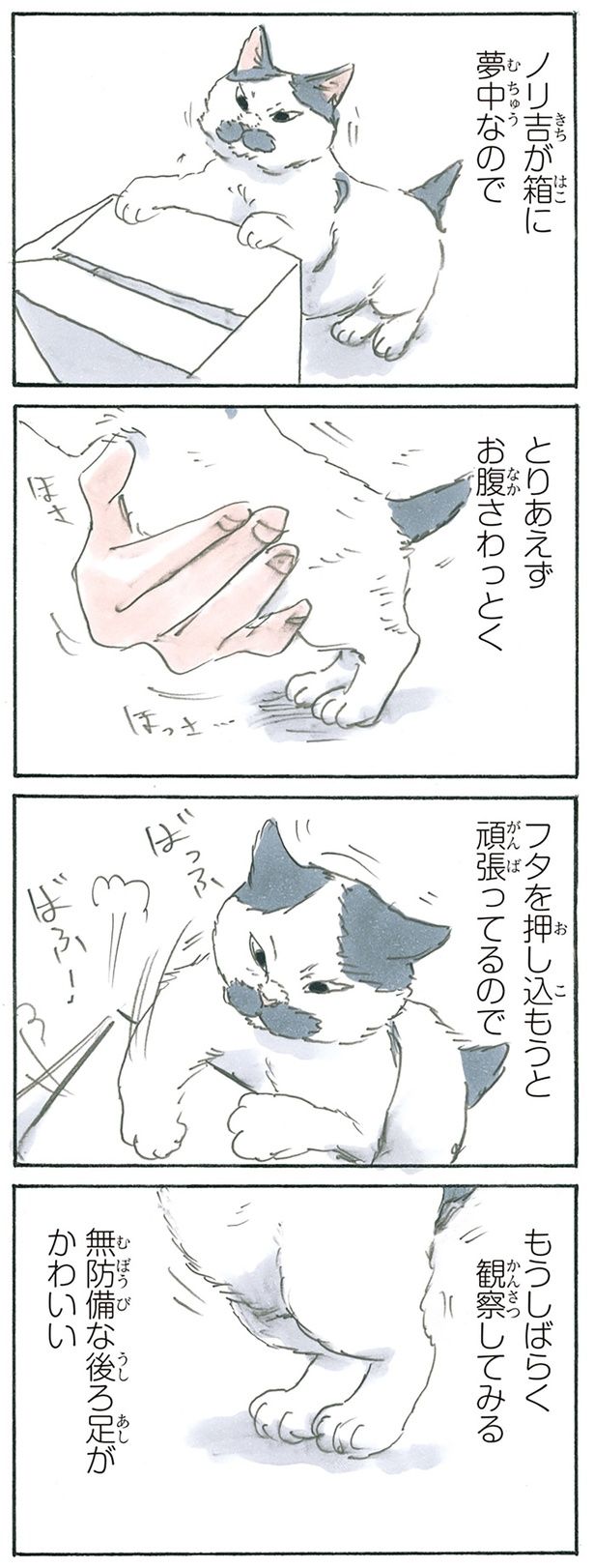 ノリ吉観察 （C）にごたろ／KADOKAWA