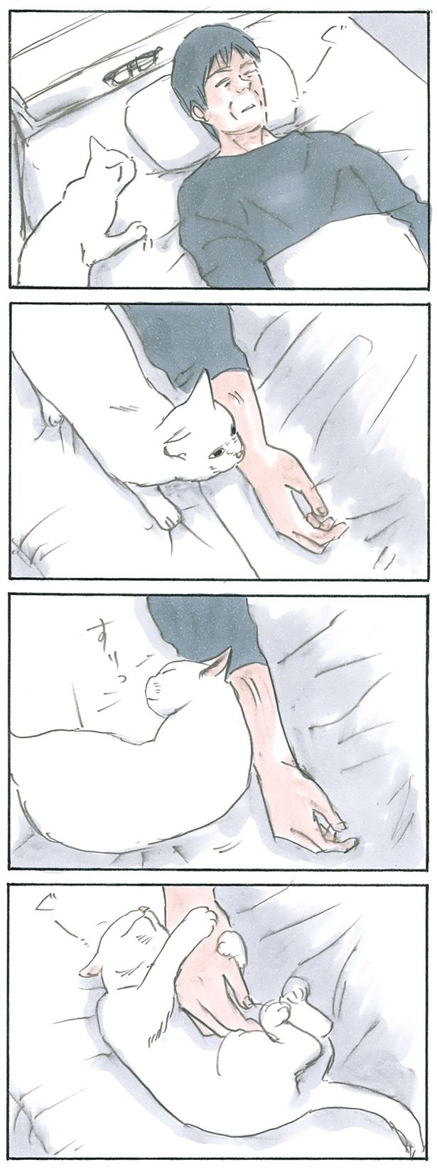 ミルクの居場所 （C）にごたろ／KADOKAWA