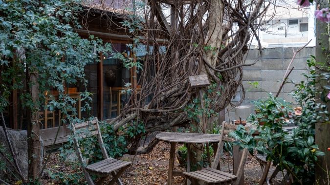 パッパライライ 庭