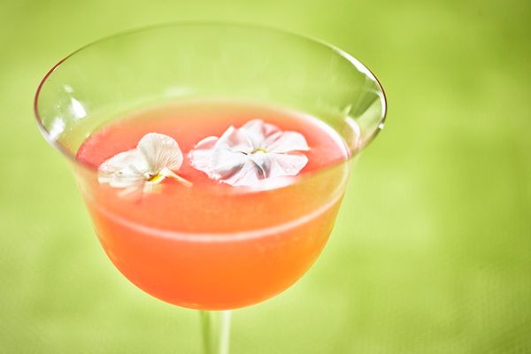 【東京都渋谷区】ホテルインディゴ東京渋谷に、桜メニューを堪能するスペシャルプラン登場！予約受付中