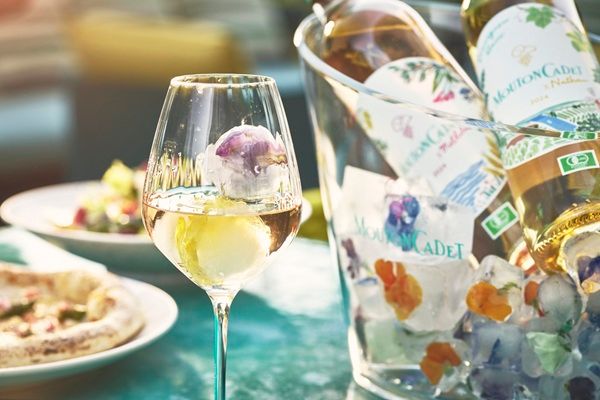 【東京都渋谷区】ホテルインディゴ東京渋谷に、桜メニューを堪能するスペシャルプラン登場！予約受付中