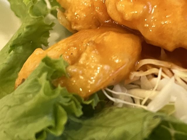 【香川県高松市】中華亭 王府