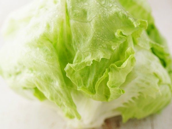 おいしいレタスの選び方と保存方法