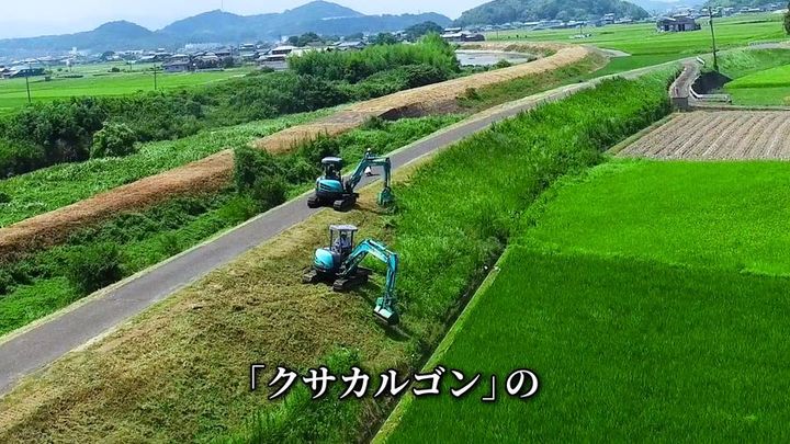 クサカルゴン 草刈り 油圧ショベル
