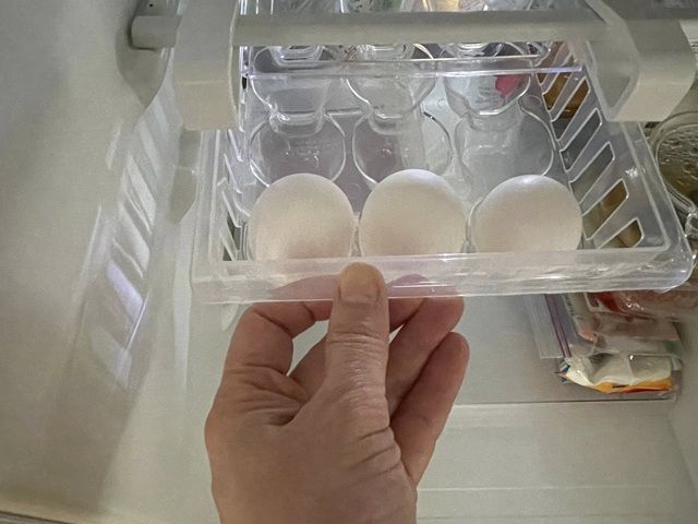 ダイソーの「吊り下げ冷蔵庫収納ケース（卵用）」出しやすい