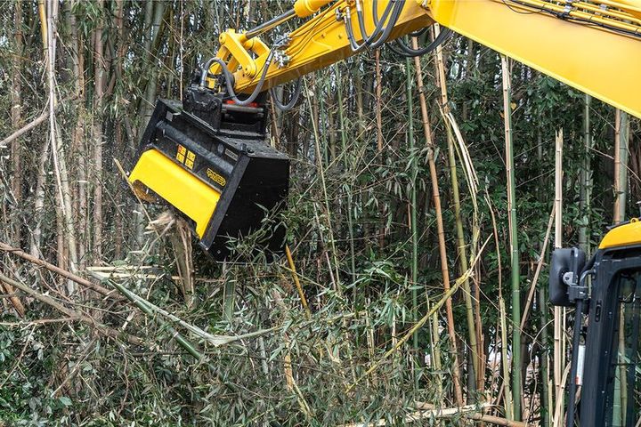 タケカルゴン 竹林 作業風景