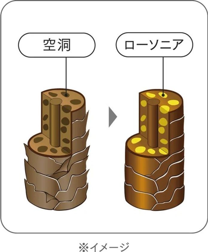 ヘンナ葉エキスの効果イメージ