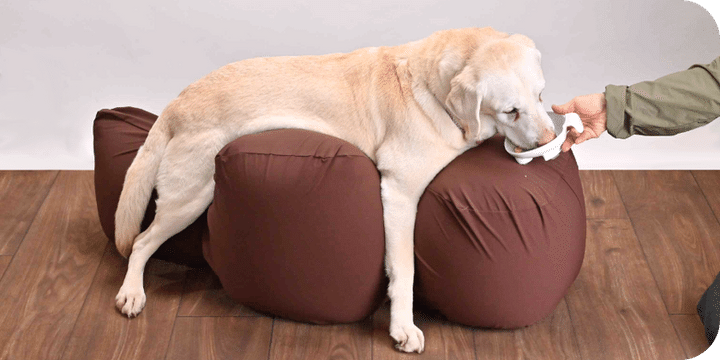 リラクッション 使用シーン