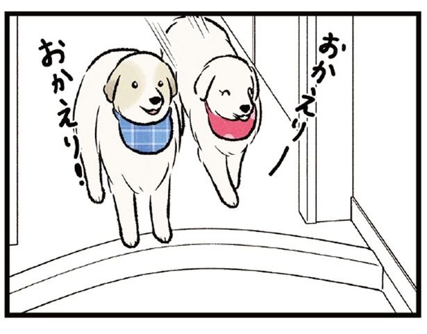 お父さんが帰ると玄関でお出迎えする愛犬たち。息子が帰ってくると？ （C）今日のルンルン、黒羽沙乃／KADOKAWA