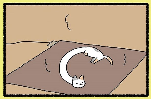 ホットカーペットにごろ～ん。のびのび寛ぐ「ろくろくび」の姿 （C）ぱんだにあ／竹書房