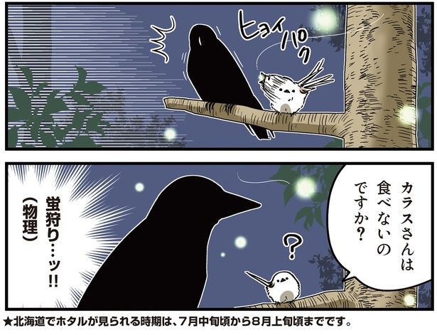 蛍狩りッ…！ （C）青春／KADOKAWA