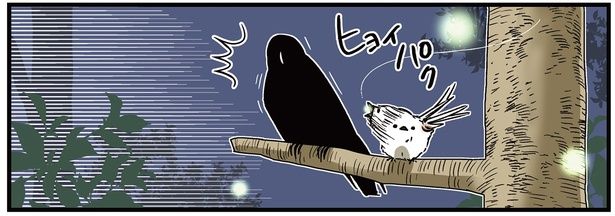 ヒョイパク （C）青春／KADOKAWA