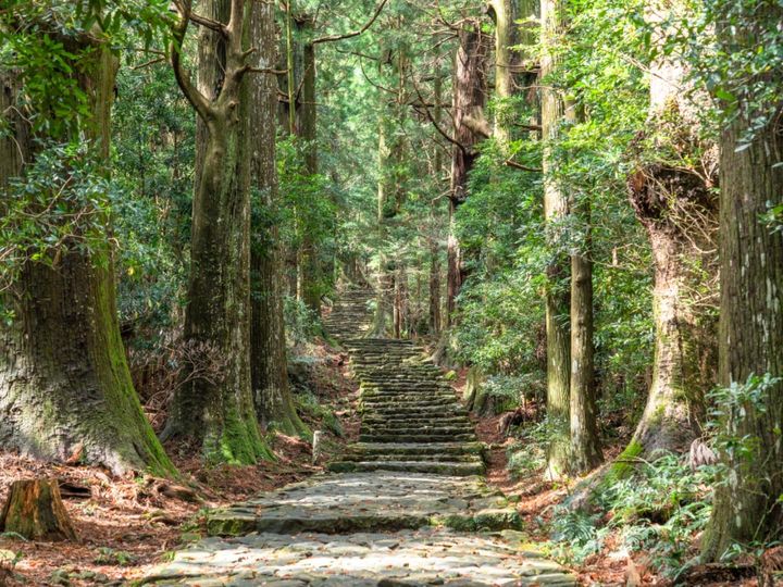 All About ニュース編集部が全国250人を対象に実施した「旅行先に関するアンケート」の調査結果から、長期休みに行きたいと思う「和歌山県の旅行先」ランキングを発表！ 2位「熊野古道」を抑えた1位は？