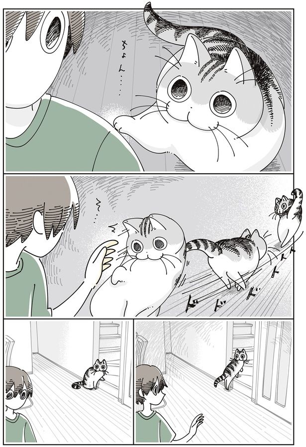 ちょん… （C）キュルZ／KADOKAWA