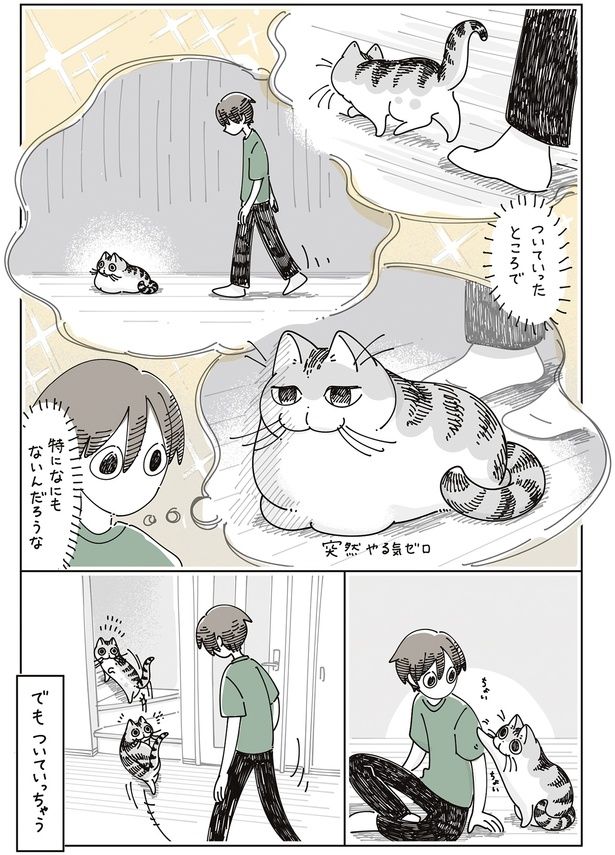 特に何もないんだろうけど… （C）キュルZ／KADOKAWA