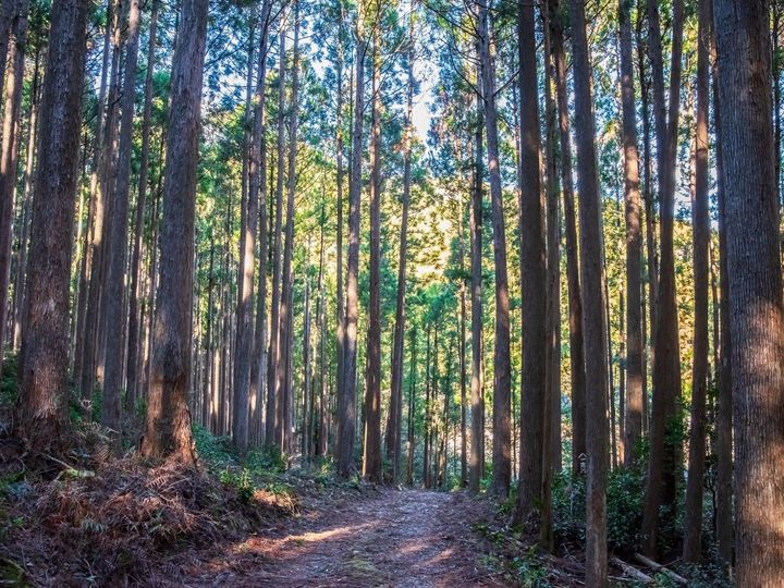 All About ニュース編集部は、全国10～60代の男女250人を対象に「自治体」に関する独自のアンケート調査を実施。読むのが難しいと思う「三重県の自治体」で1位に選ばれたのは？