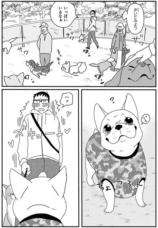 いっぱいいるなぁ (C)らくだ／KADOKAWA