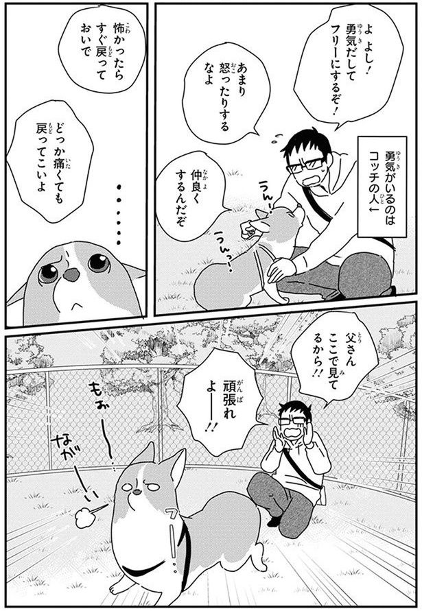 頑張れよー！！ (C)らくだ／KADOKAWA