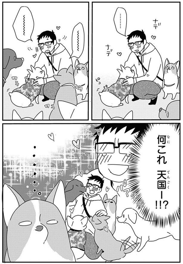 何これ (C)らくだ／KADOKAWA