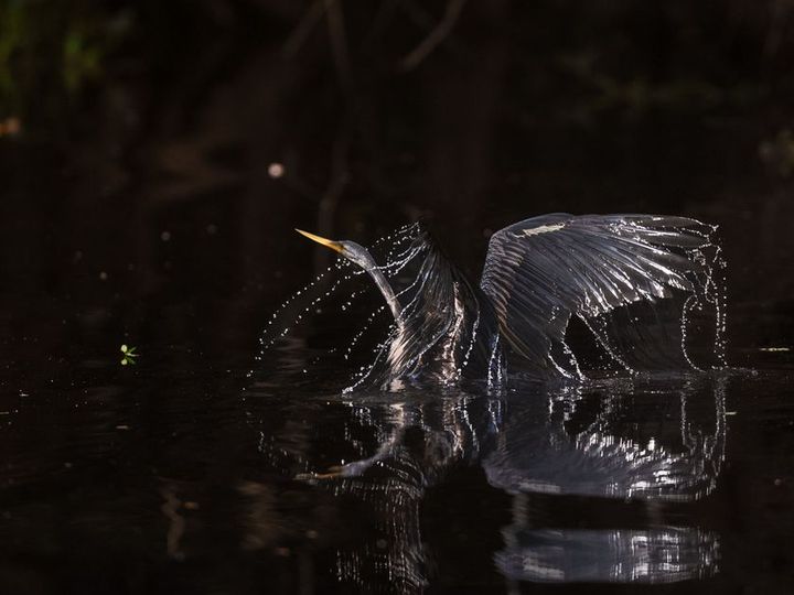 クリエイティブダイアログ4