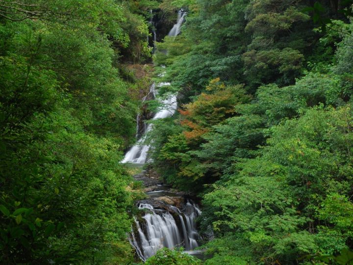 All About ニュース編集部が全国250人を対象に実施した「冬の観光に関するアンケート」の調査結果から、冬に行きたい「島根県の滝」ランキングを発表！ 2位「岩瀧寺の滝」を抑えた1位は？