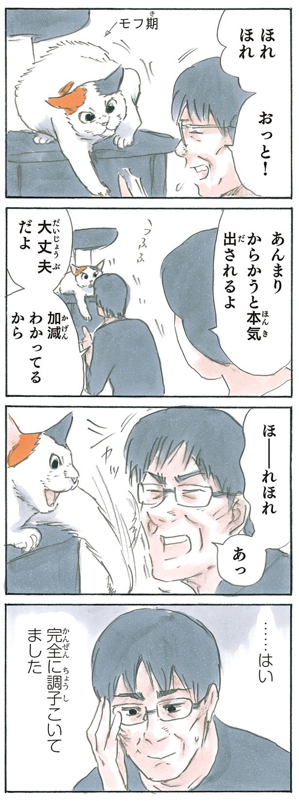 猫の加減 （C）にごたろ／KADOKAWA