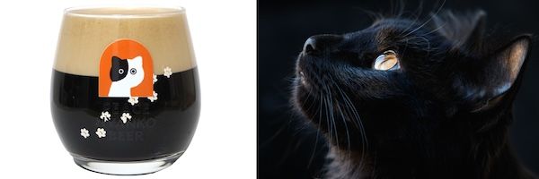 飲んで猫を助ける「ピースニャンコビール」誕生。売上の一部を寄付し、保護猫を支援