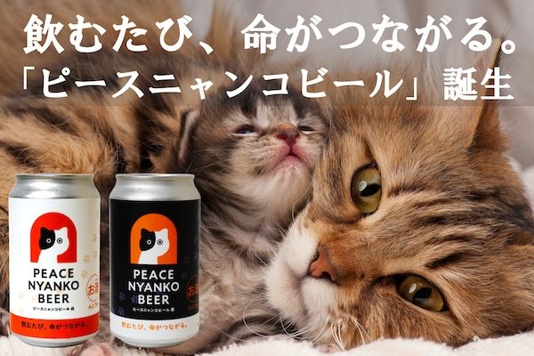 飲んで猫を助ける「ピースニャンコビール」誕生。売上の一部を寄付し、保護猫を支援