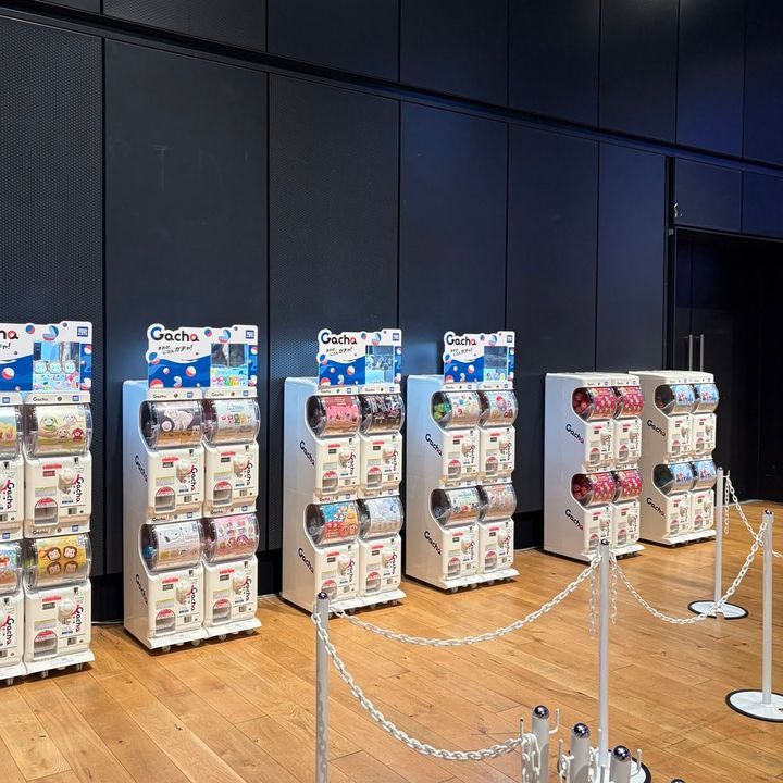 ガチャ沼展 予約優先エリア