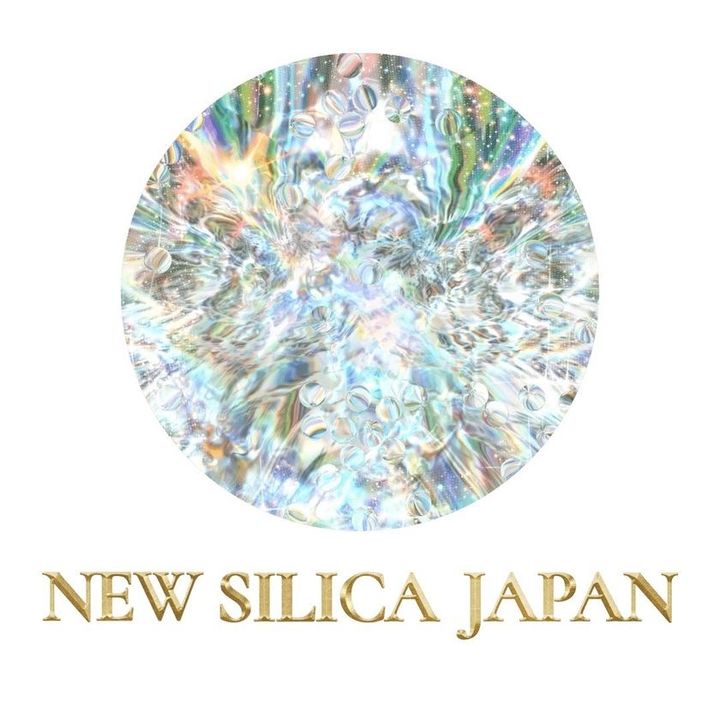ニューシリカジャパンロゴ