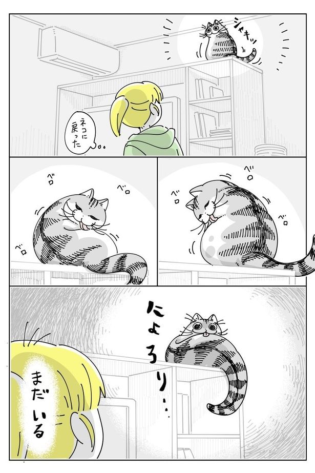 02 画像提供：キュルZ@kyuryuZ