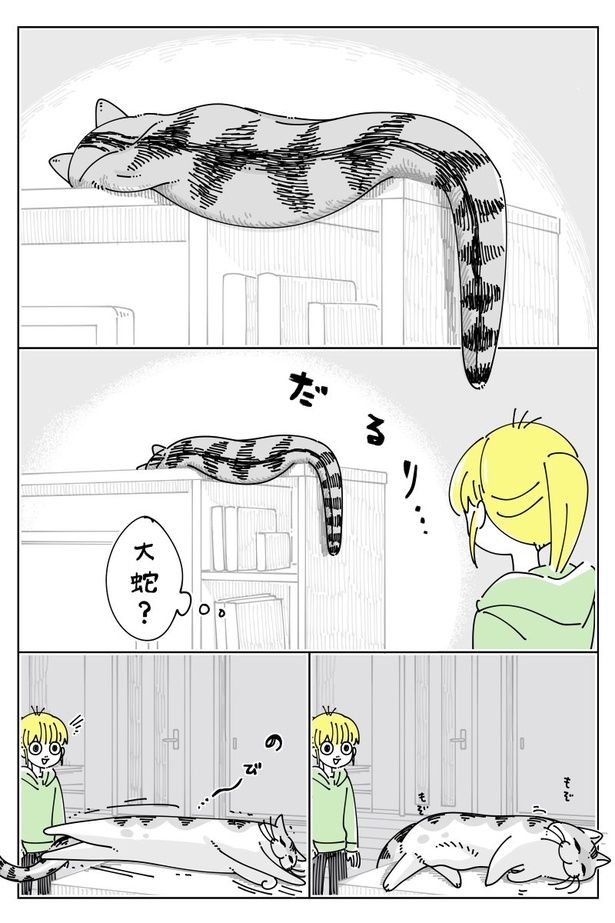 『ネコ時々大蛇』01 画像提供：キュルZ@kyuryuZ
