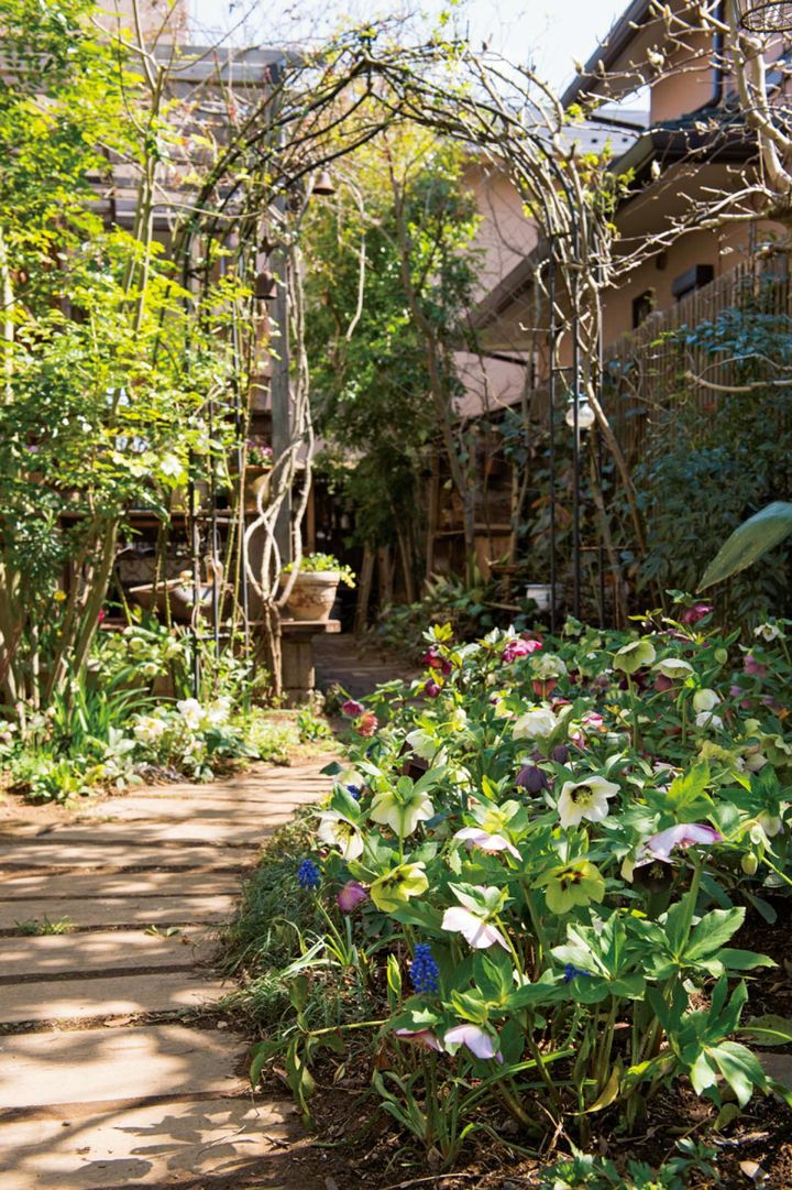 アーチのバラの芽吹きもこれからの3月。枕木の小道沿いはクリスマスローズが満開。反対側にはニゲルの花も。