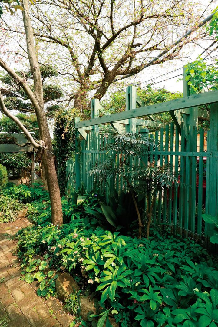 4月中旬。芽吹き始めたサクラやハナミズキの下は、クリスマスローズのほかに、フッキソウ、ハラン、ユキノシタ。