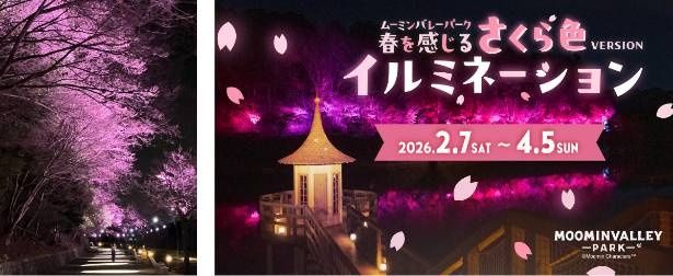 イルミネーションの昨年度実施イメージ