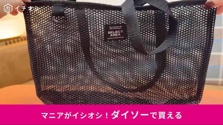 ダイソーのメッシュミニトートバッグ