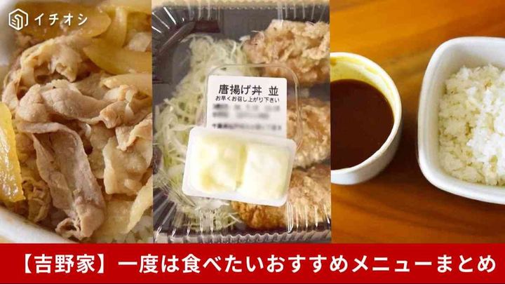 【吉野家】牛丼派も必見！一度は食べたいおすすめメニュー5選