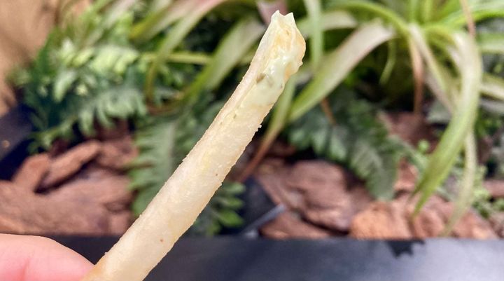 「不味いわけがない」「超美味い」【マクドナルド】サクサク＆ぷりぷりの新作バーガー登場