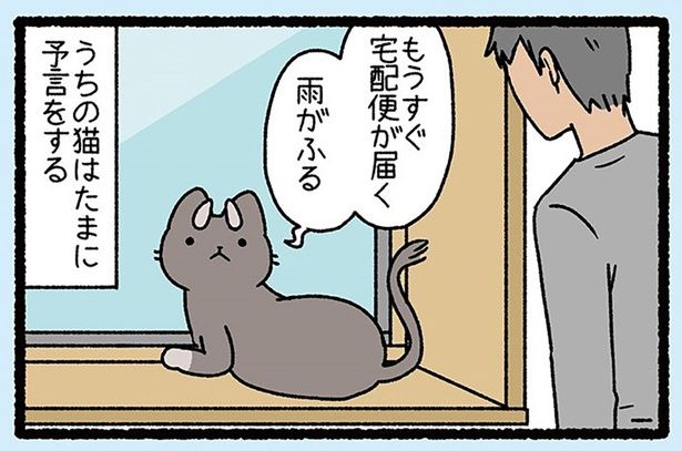 うちの猫はたまに予言をする （C）ぱんだにあ／竹書房