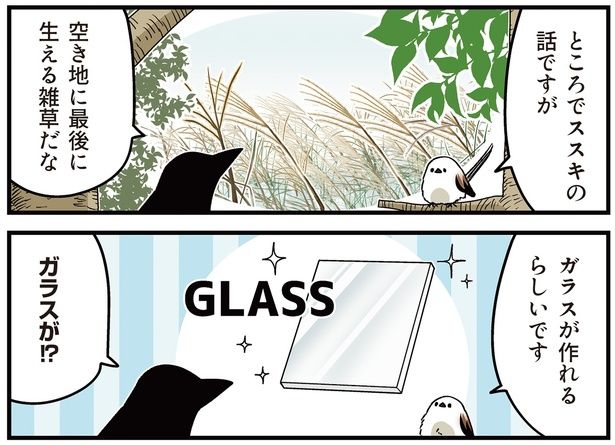 ところでススキの話ですが （C）青春／KADOKAWA