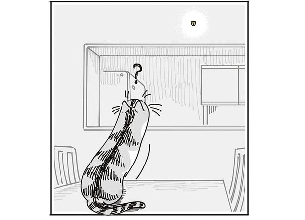 気になる （C）キュルZ／KADOKAWA