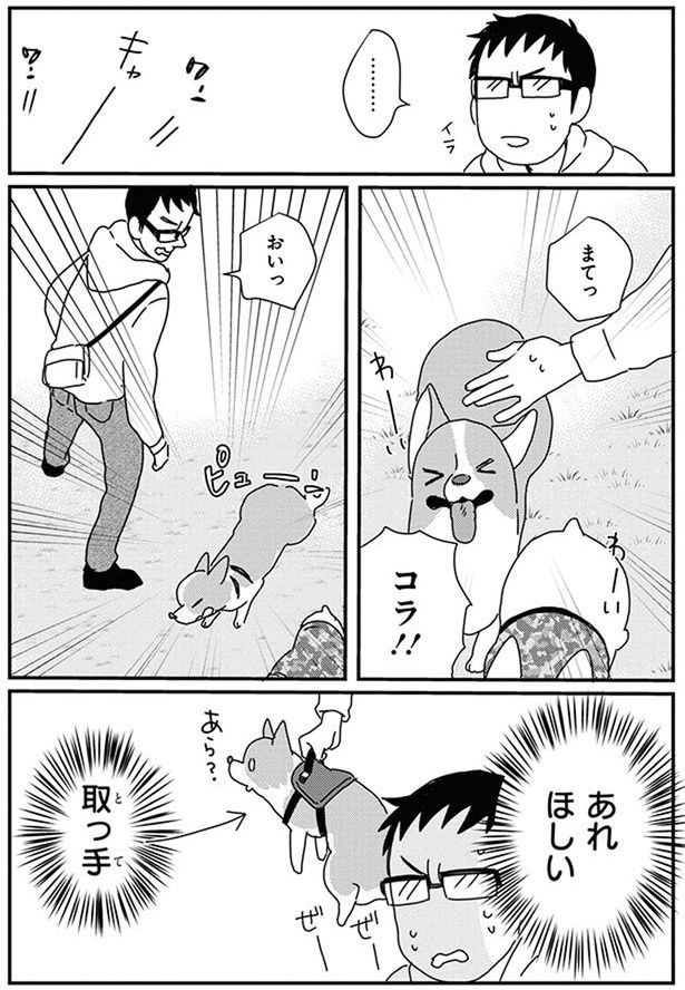 コラ！！ (C)らくだ／KADOKAWA