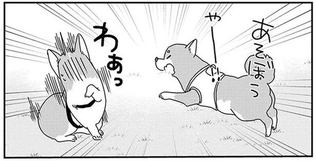 ソワソワしていたのは犬だけじゃない？愛犬のドッグランデビュー (C)らくだ／KADOKAWA