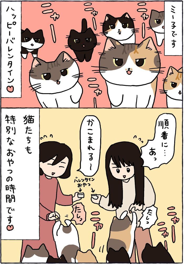 ねこマスターの実力なのです。【てらねこミー子の日常】