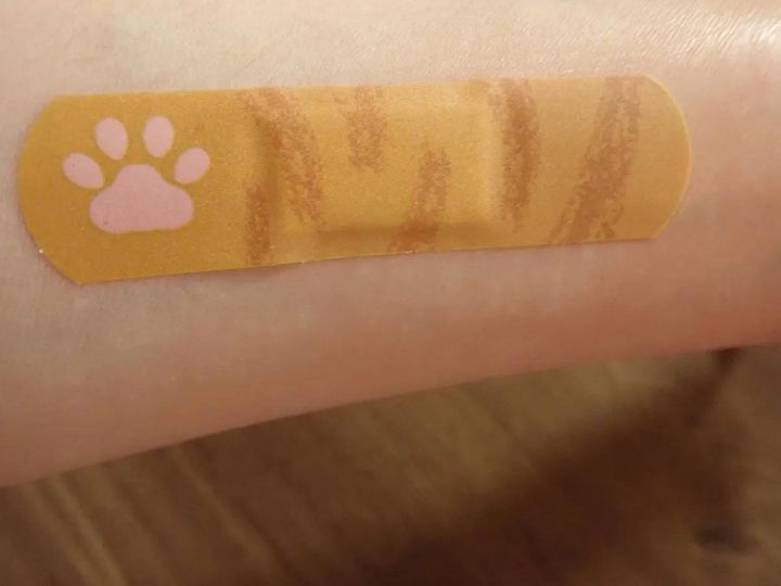DAISO(ダイソー)：救急！！キズテープ(肉球ねこ、12枚入)