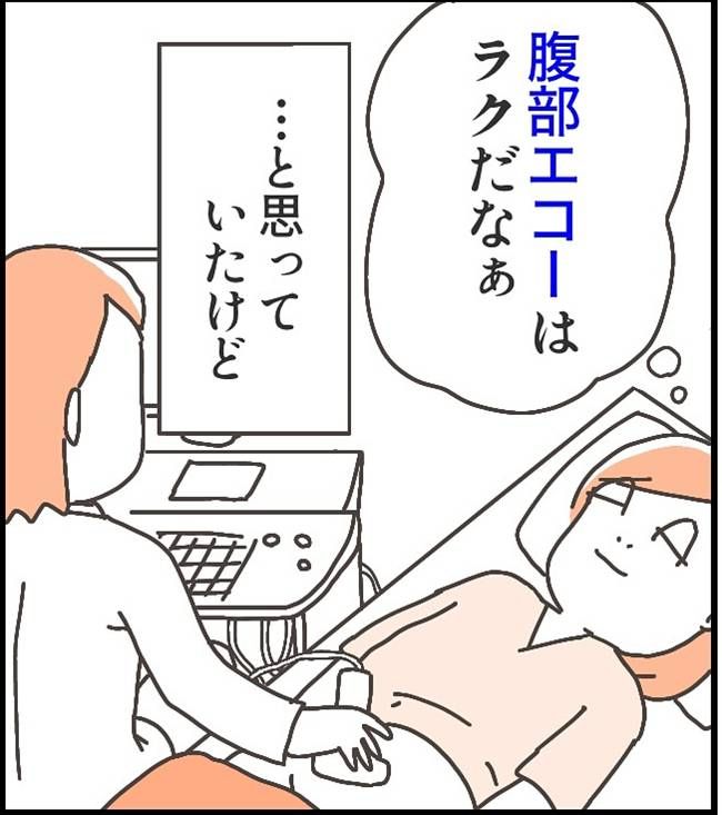 子宮全摘後のリアル／宮島もっちー